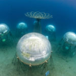 Orto di Nemo: il primo orto subacqueo del mondo